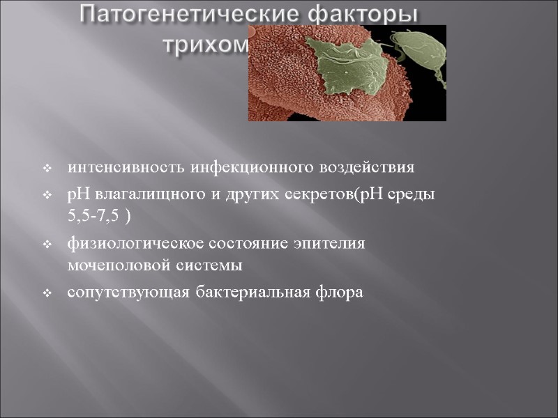 Патогенетические факторы  трихомониаза  интенсивность инфекционного воздействия рН влагалищного и других секретов(рН среды